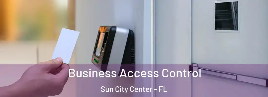  Business Access Control Sun City Center - FL