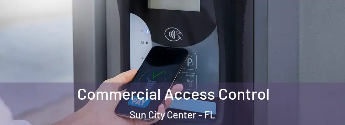 Commercial Access Control Sun City Center - FL
