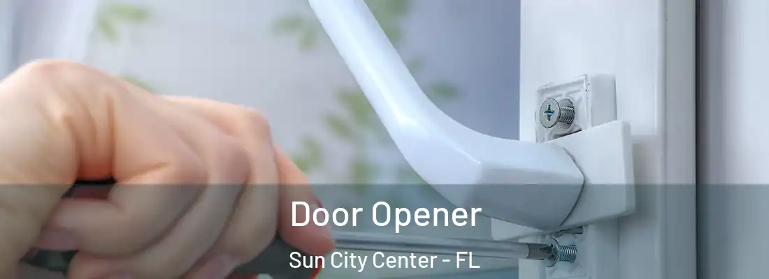  Door Opener Sun City Center - FL