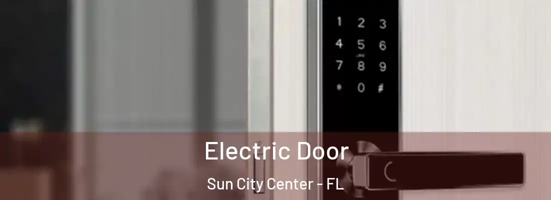  Electric Door Sun City Center - FL