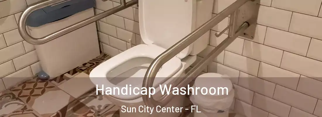  Handicap Washroom Sun City Center - FL