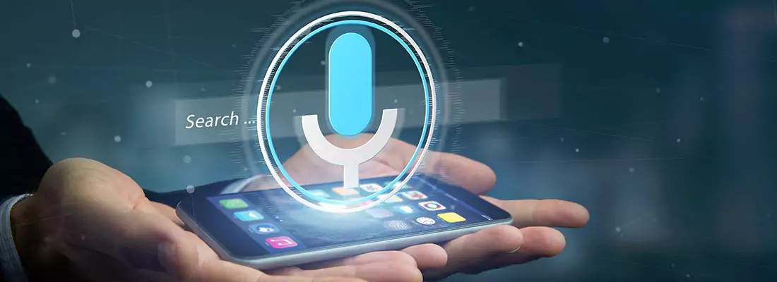 Enhance Security with Voice Recognition Access Systems in Sun City Center, FL