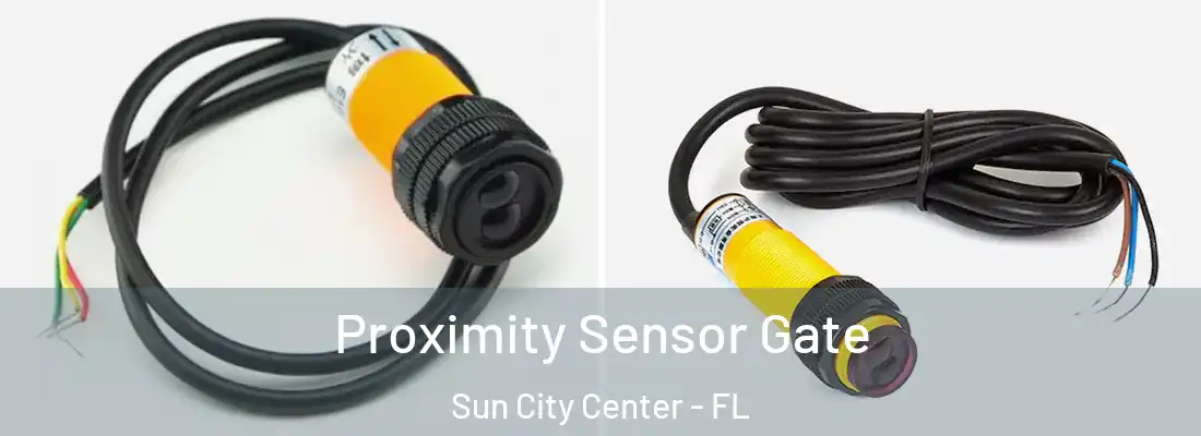  Proximity Sensor Gate Sun City Center - FL